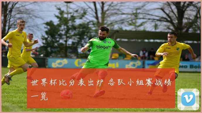 世界杯比分表出炉 各队小组赛战绩一览