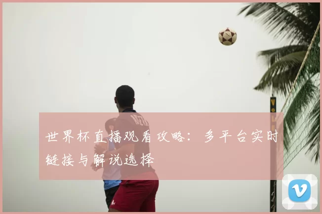 世界杯直播观看攻略:多平台实时链接与解说选择