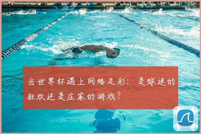 当世界杯遇上网络足彩:是球迷的狂欢还是庄家的游戏?