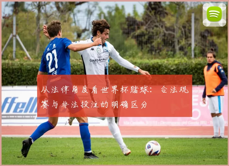 从法律角度看世界杯赌球:合法观赛与非法投注的明确区分