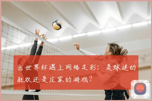 当世界杯遇上网络足彩:是球迷的狂欢还是庄家的游戏?
