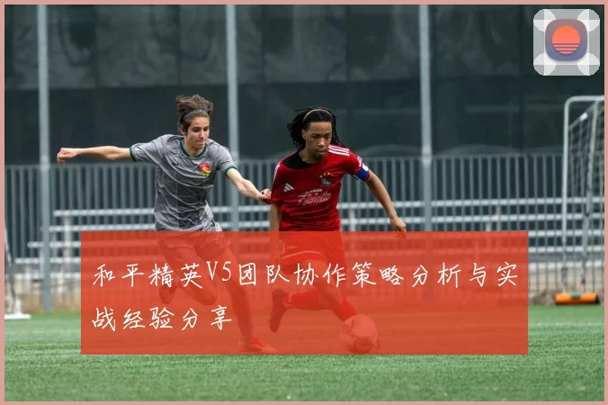 和平精英V5团队协作策略分析与实战经验分享