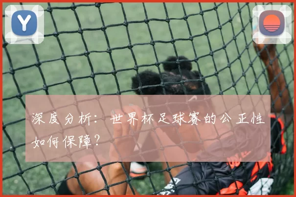 深度分析:世界杯足球赛的公正性如何保障?