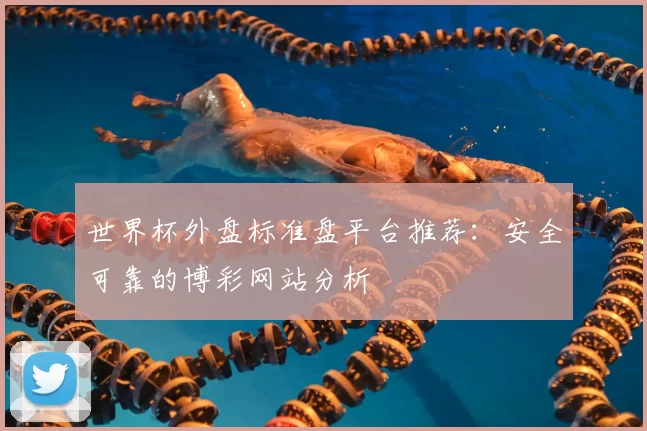 世界杯外盘标准盘平台推荐：安全可靠的博彩网站分析