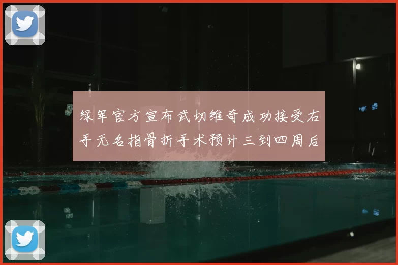 绿军官方宣布武切维奇成功接受右手无名指骨折手术预计三到四周后复查