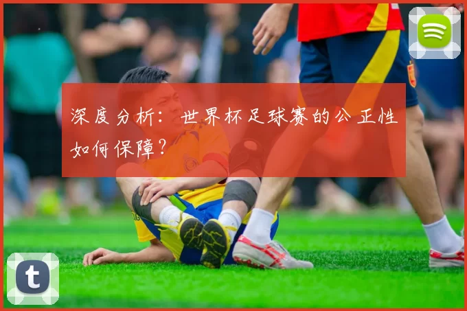 深度分析:世界杯足球赛的公正性如何保障?