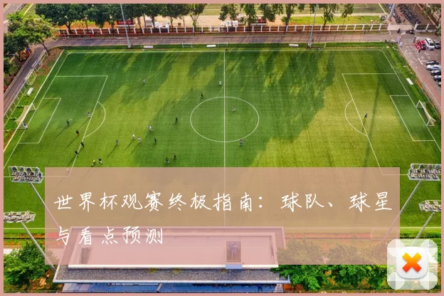 世界杯观赛终极指南:球队、球星与看点预测