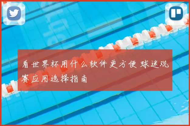 看世界杯用什么软件更方便 球迷观赛应用选择指南
